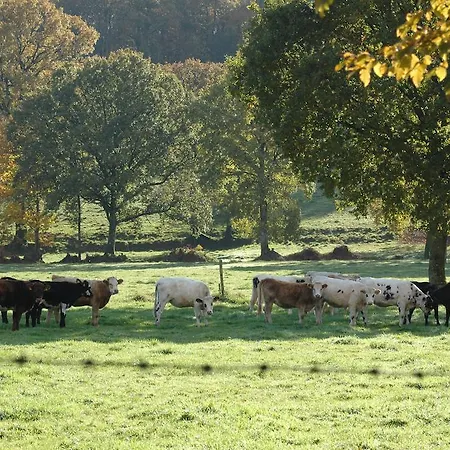 - Numero Cinq Frühstückspension 3*