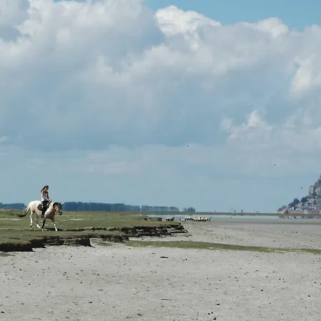 - Numero Cinq Frühstückspension