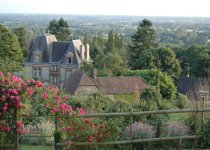 - Numero Cinq Bed & Breakfast