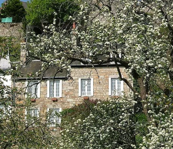 Bed & Breakfast - Numero Cinq 3*