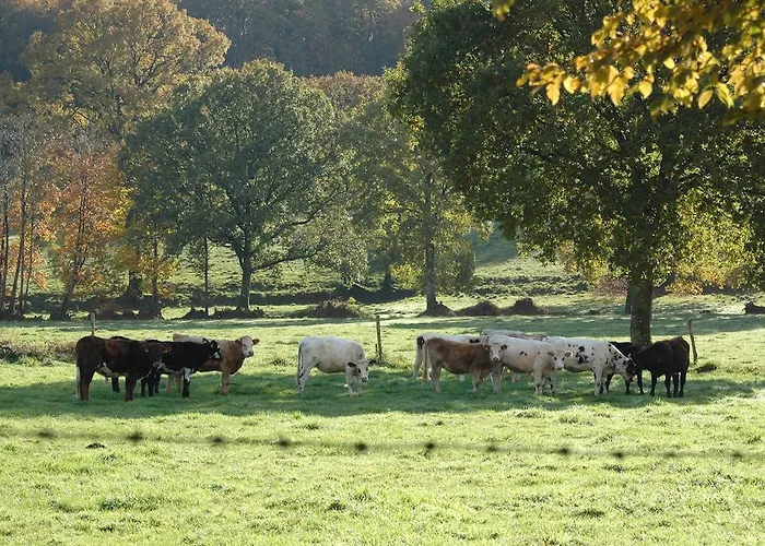 Numero Cinq Couette-café 3*