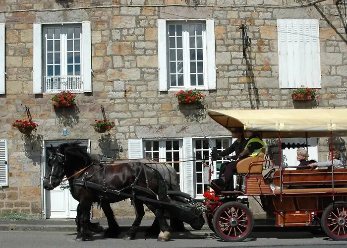 - Numero Cinq Bed & Breakfast 3*